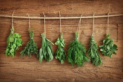 Avoid These Beginner Herb Garden Mistakes